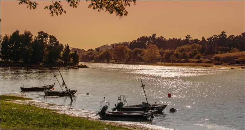 Just Like Home - Casa Do Sobreiro Velho Em Cerveira Vila Nova de Cerveira Esterno foto